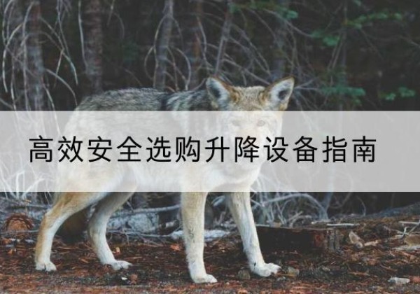汉台升降货梯厂家推荐-*安全选购升降设备指南