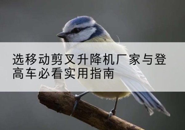 汉台电动升降机厂家-选移动剪叉升降机厂家与登高车必看实用指南