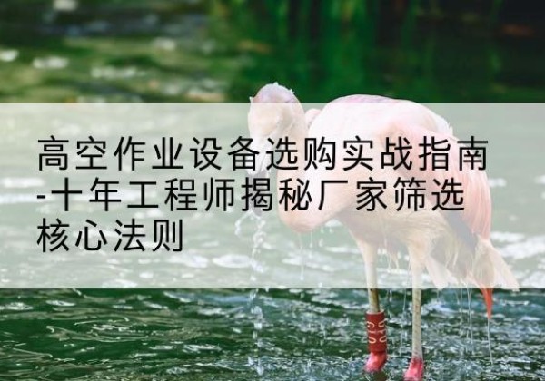 汉台剪叉式升降机厂家-高空作业设备选购实战指南-十年工程师揭秘厂家筛选核心法则